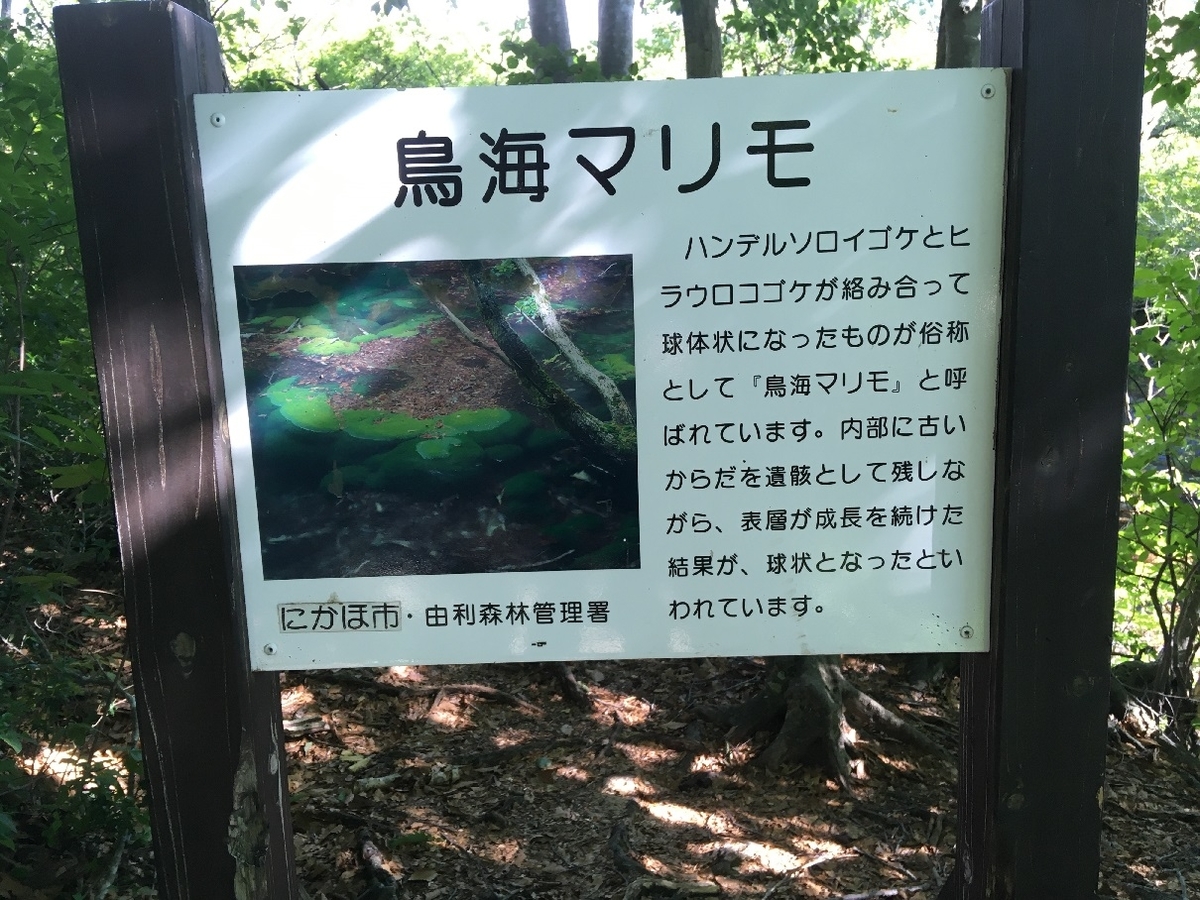 f:id:chuukounenrunner:20210821153330j:plain