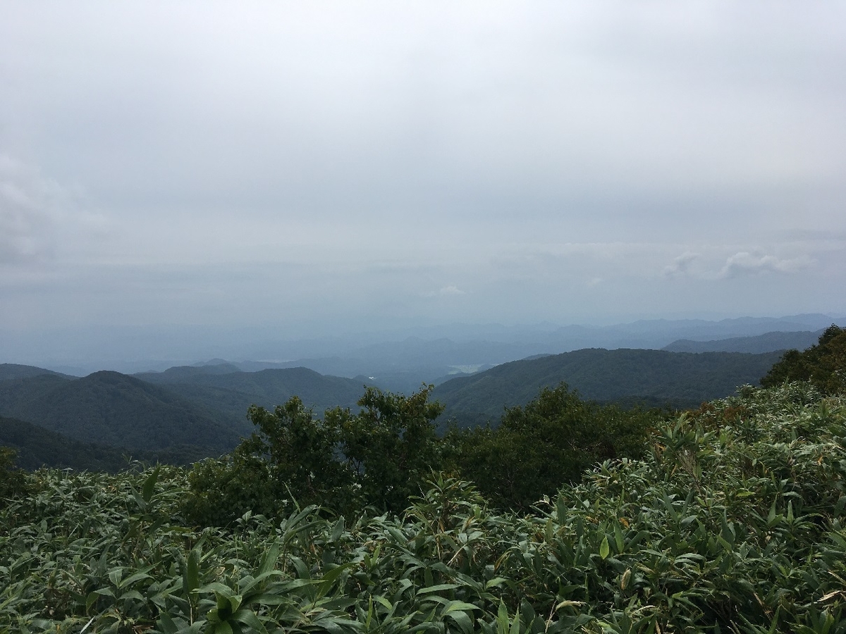 f:id:chuukounenrunner:20210825141211j:plain