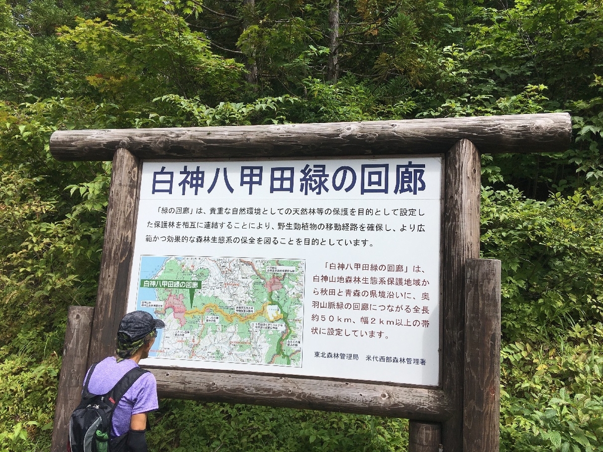 f:id:chuukounenrunner:20210830112528j:plain