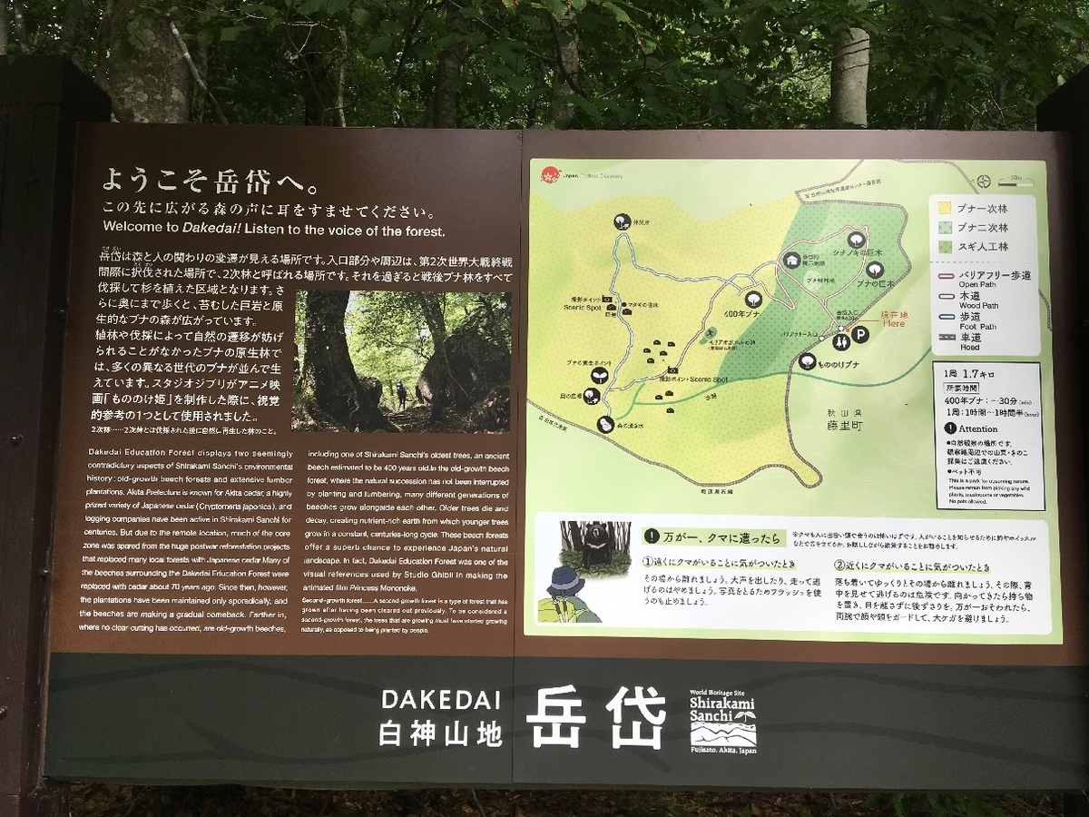 f:id:chuukounenrunner:20210830114207j:plain