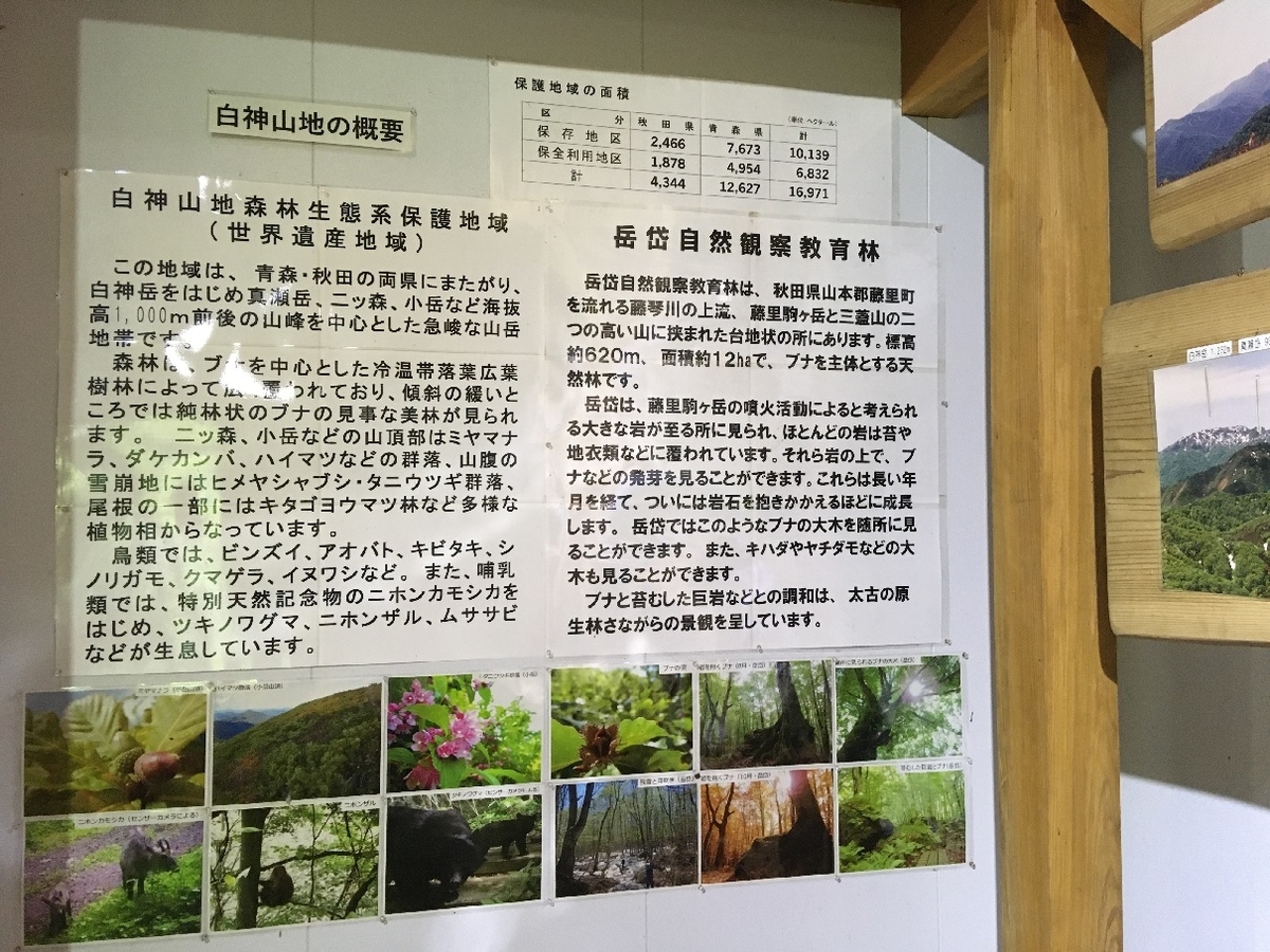 f:id:chuukounenrunner:20210830133436j:plain