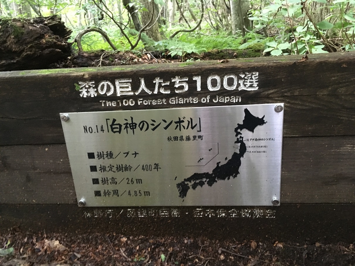 f:id:chuukounenrunner:20210830134927j:plain
