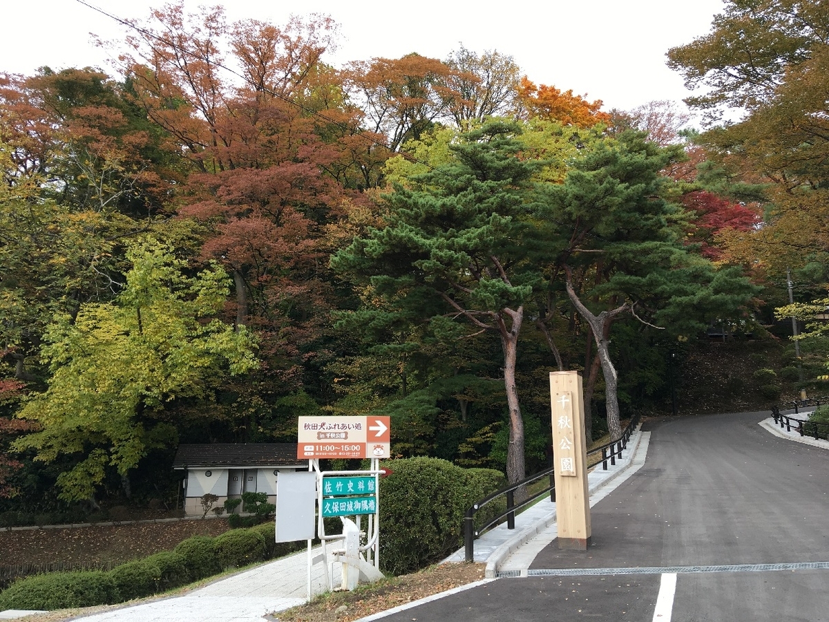 f:id:chuukounenrunner:20211029181837j:plain