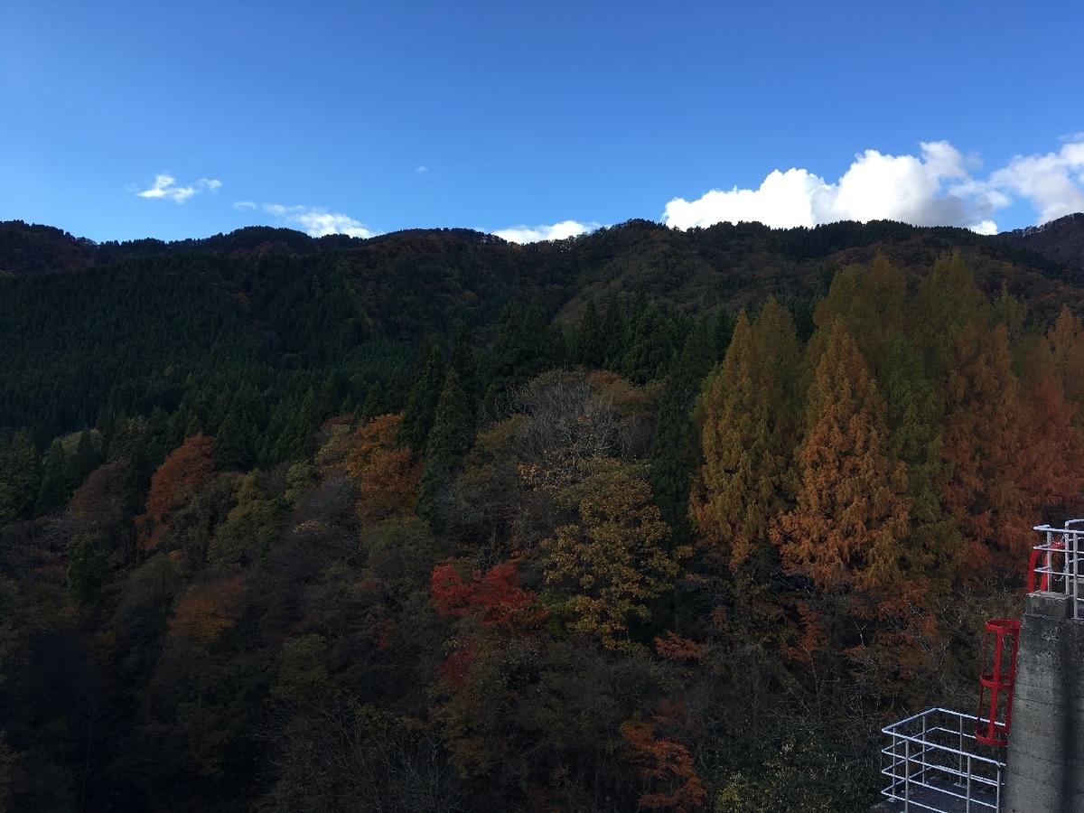 f:id:chuukounenrunner:20211106090317j:plain