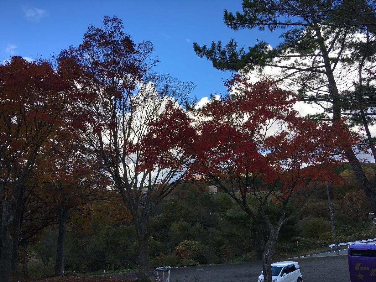f:id:chuukounenrunner:20211106090836j:plain