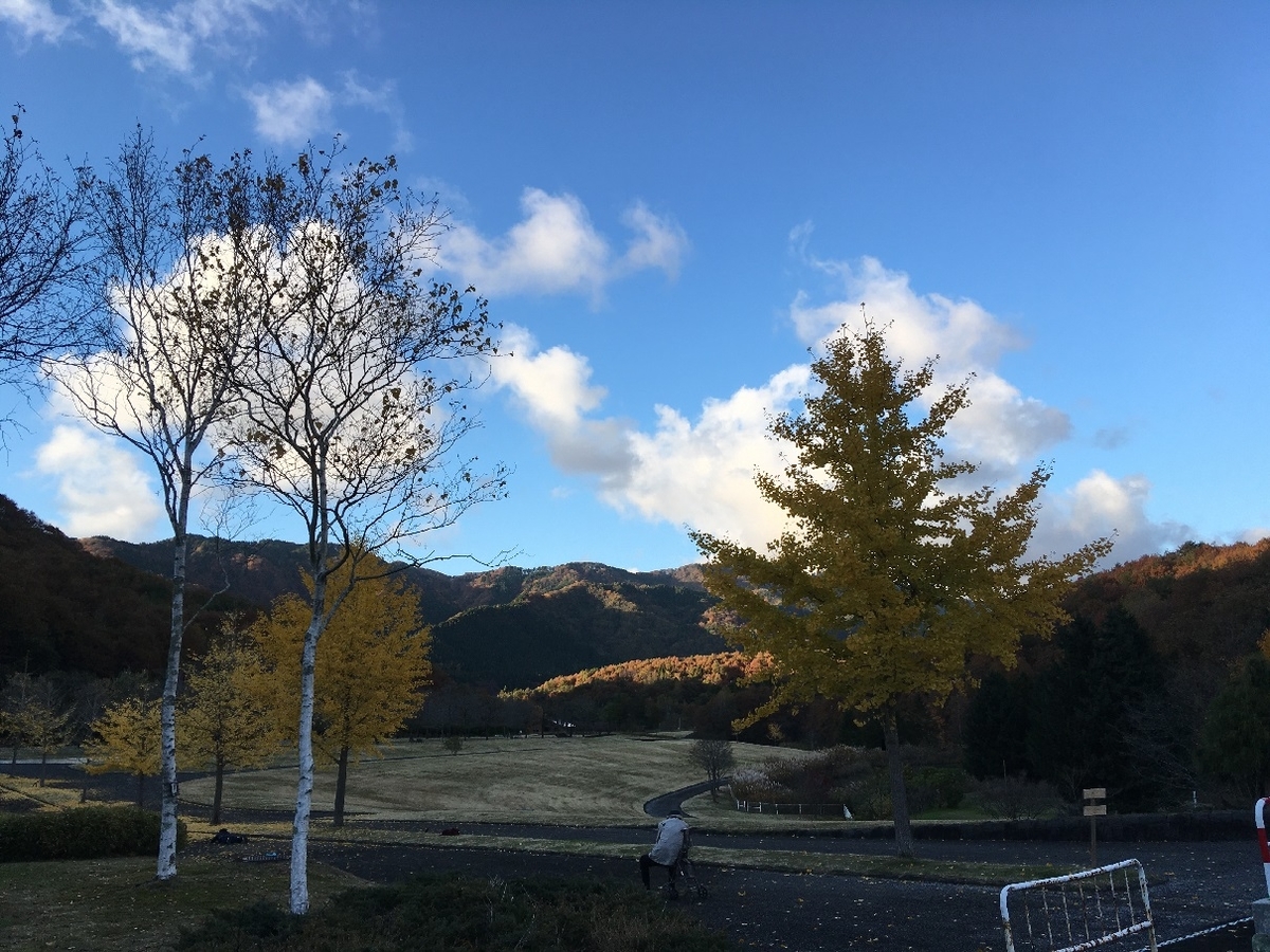 f:id:chuukounenrunner:20211106111717j:plain