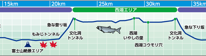 f:id:chuukounenrunner:20211130091218p:plain