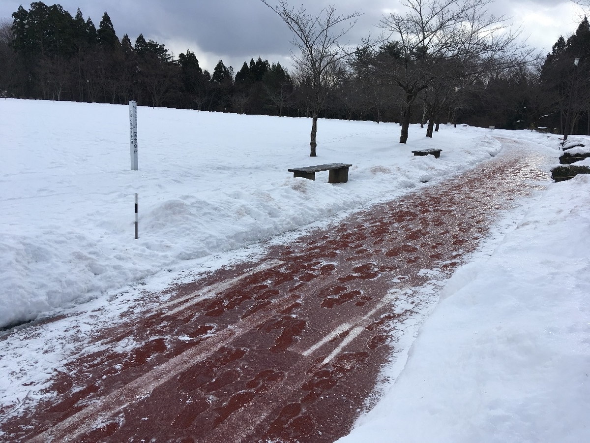 f:id:chuukounenrunner:20220103115221j:plain