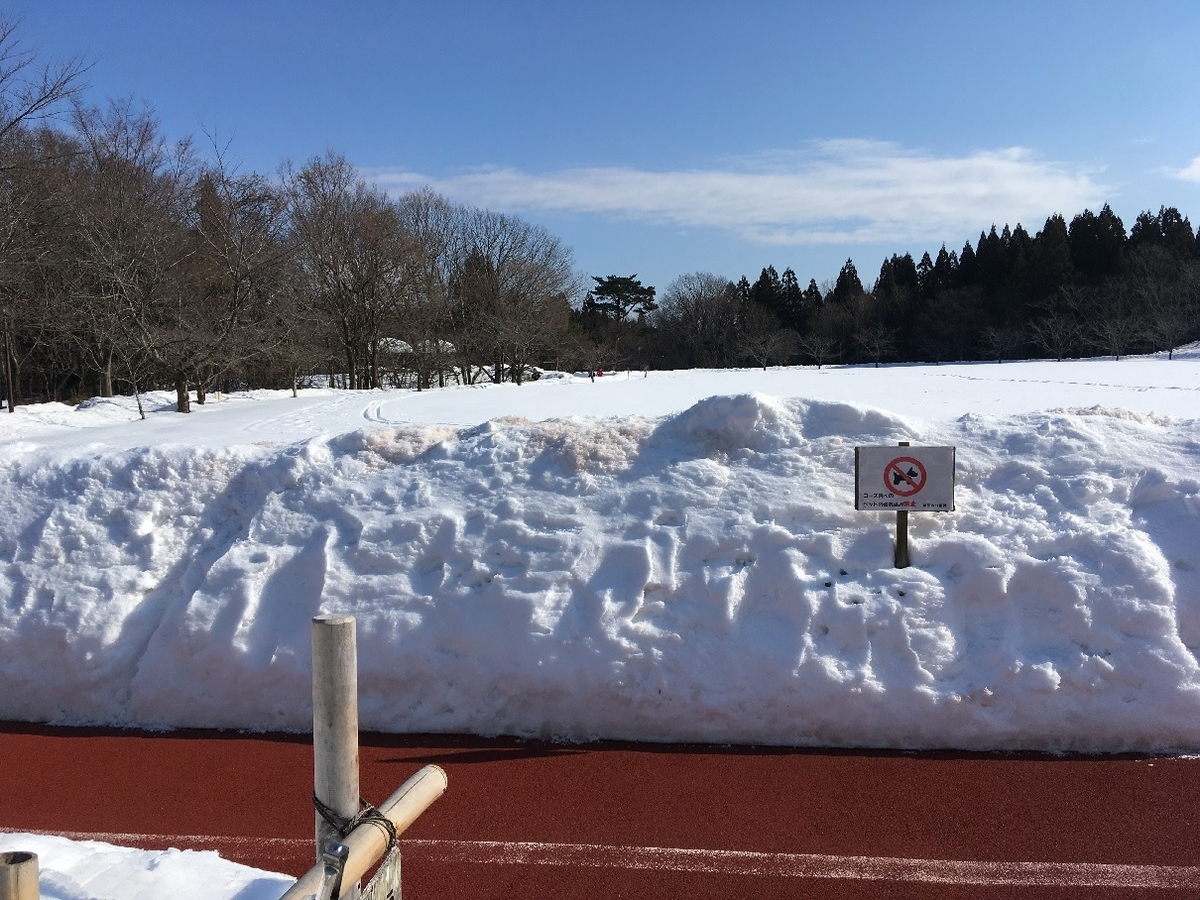 f:id:chuukounenrunner:20220212134513j:plain