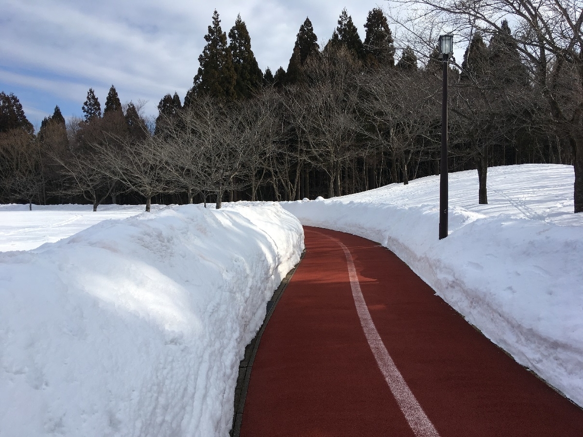 f:id:chuukounenrunner:20220212134811j:plain