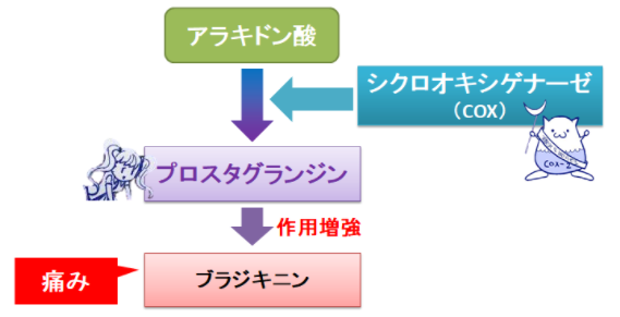 f:id:chuukounenrunner:20220311182022p:plain