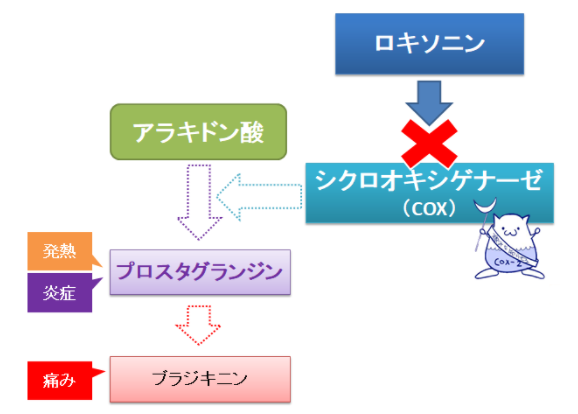 f:id:chuukounenrunner:20220311183217p:plain