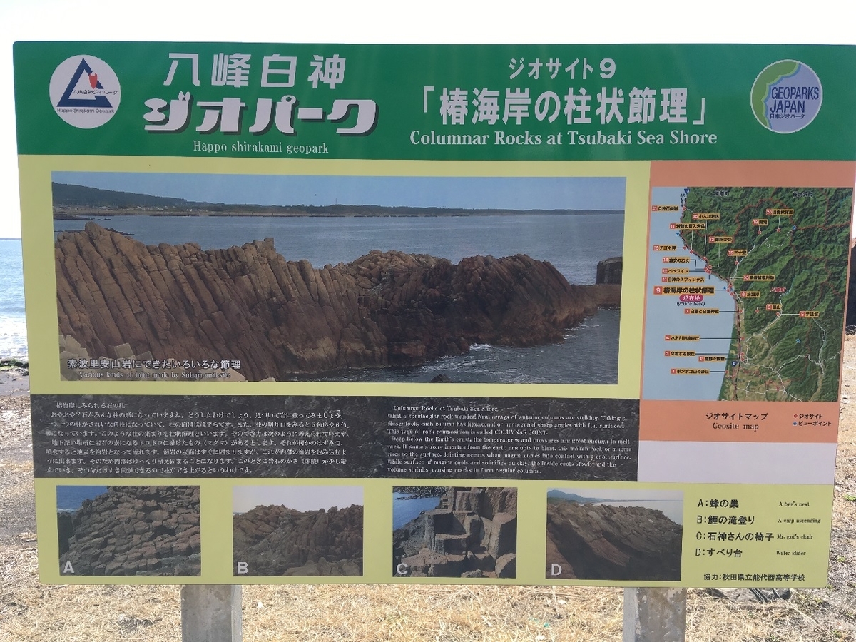 f:id:chuukounenrunner:20220330135448j:plain
