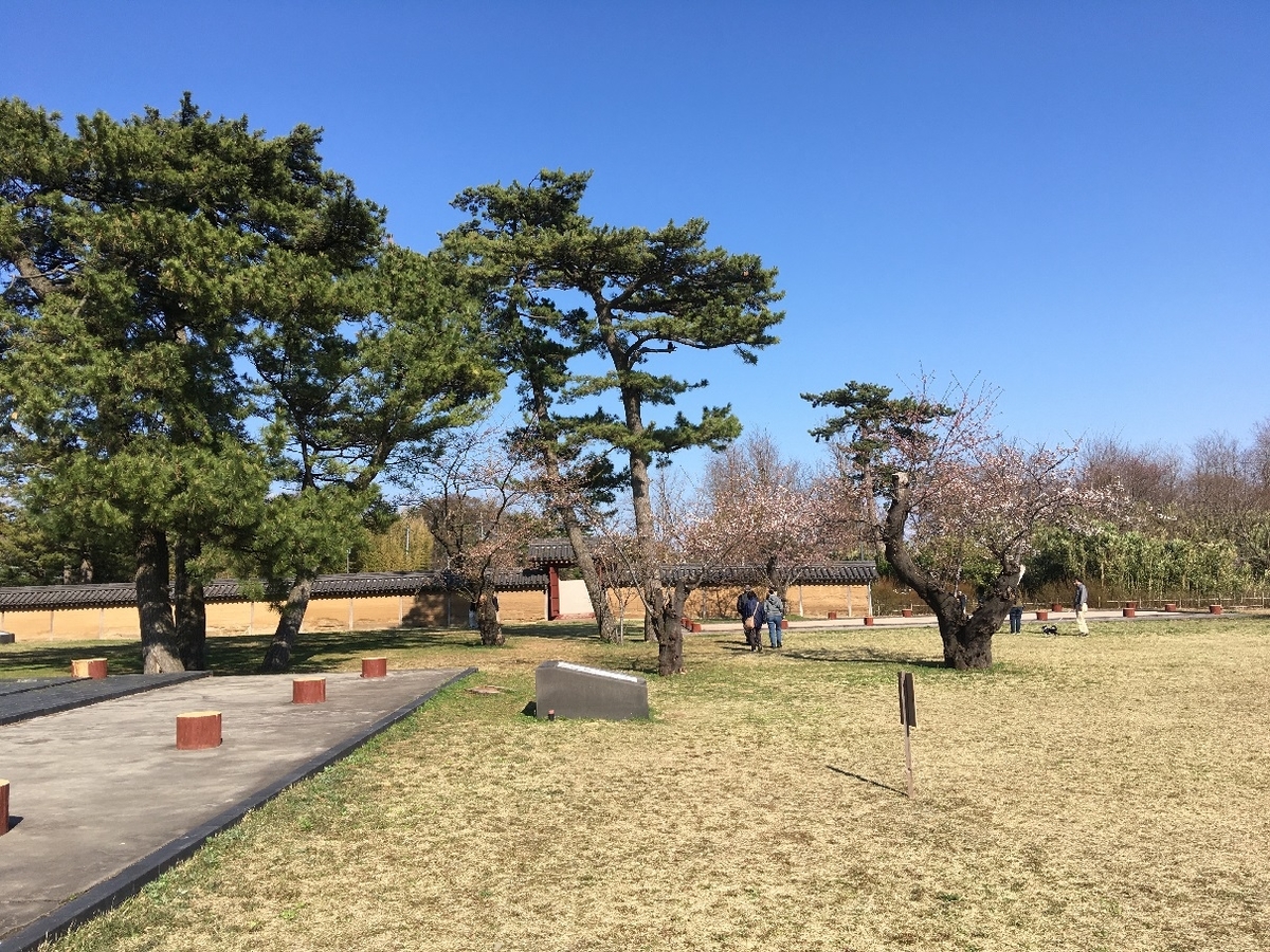 f:id:chuukounenrunner:20220417172944j:plain