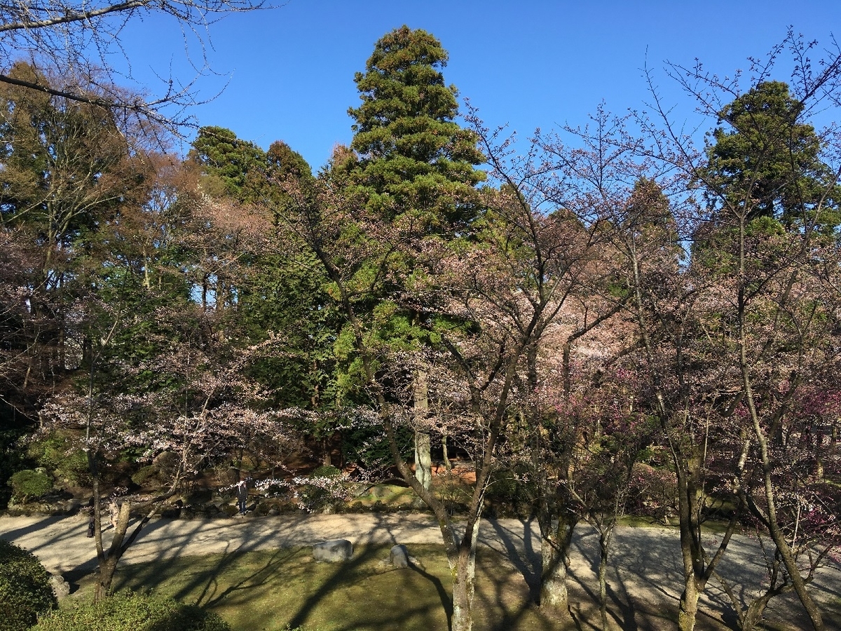f:id:chuukounenrunner:20220417173329j:plain