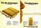 The dis-advantages. The advantages.