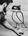 [Tomi Ungerer]Iron-Owl