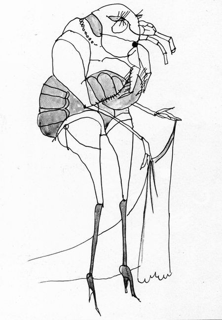 f:id:chuukyuu:20090813093037j:image