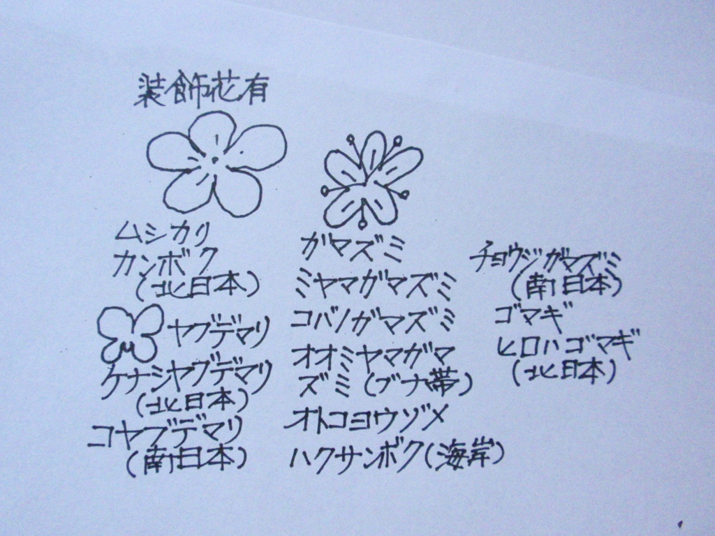 f:id:chuumeikun:20160616002424j:plain