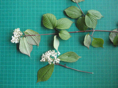 f:id:chuumeikun:20160616003009j:plain