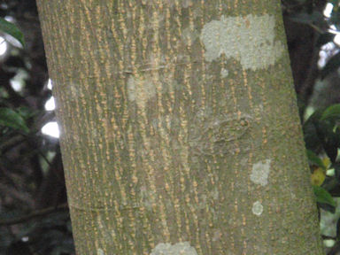 f:id:chuumeikun:20160624044034j:plain