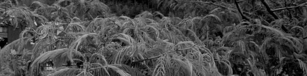 f:id:chuumeikun:20160624044142j:plain