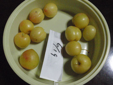 f:id:chuumeikun:20160624044214j:plain