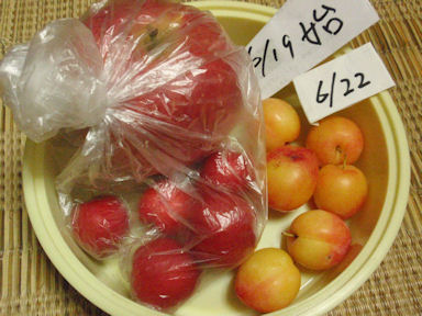 f:id:chuumeikun:20160624044301j:plain