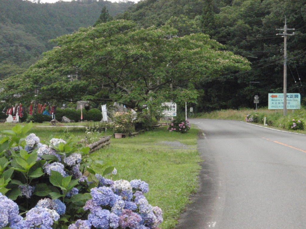 f:id:chuumeikun:20160625123816j:plain