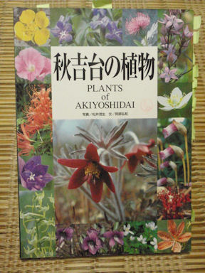 f:id:chuumeikun:20160627010224j:plain