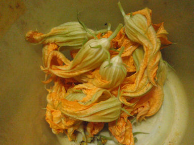 f:id:chuumeikun:20160630002651j:plain