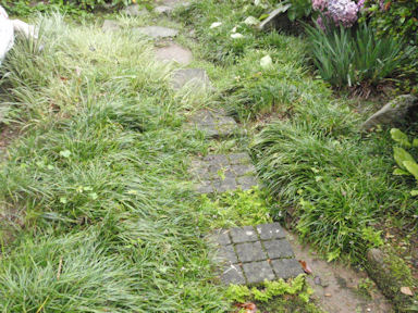 f:id:chuumeikun:20160701044508j:plain