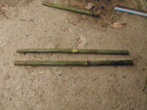 f:id:chuumeikun:20160702040354j:plain f:id:chuumeikun:20160702040354j:plain