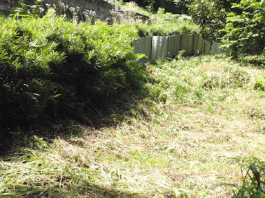 f:id:chuumeikun:20160702040426j:plain f:id:chuumeikun:20160702040426j:plain