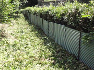 f:id:chuumeikun:20160702040441j:plain f:id:chuumeikun:20160702040441j:plain