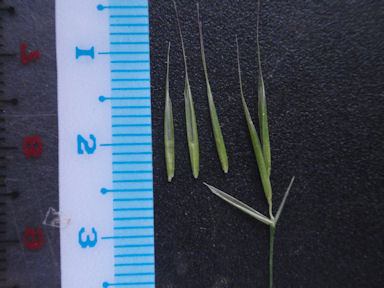 f:id:chuumeikun:20160710044136j:plain f:id:chuumeikun:20160710044136j:plain