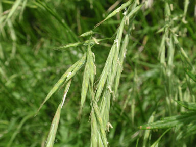 f:id:chuumeikun:20160710044231j:plain f:id:chuumeikun:20160710044231j:plain