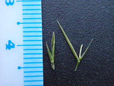 f:id:chuumeikun:20160710044456j:plain f:id:chuumeikun:20160710044456j:plain