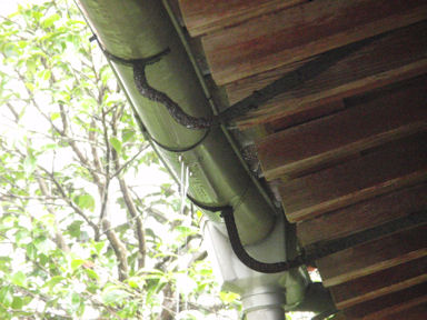 f:id:chuumeikun:20160710044537j:plain f:id:chuumeikun:20160710044537j:plain