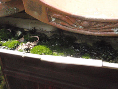 f:id:chuumeikun:20160710044555j:plain f:id:chuumeikun:20160710044555j:plain