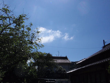 f:id:chuumeikun:20160710044648j:plain f:id:chuumeikun:20160710044648j:plain