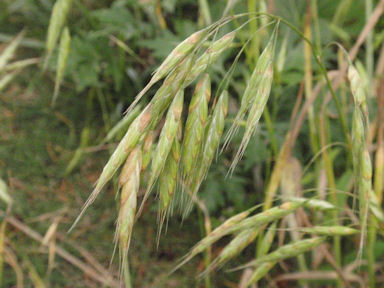 f:id:chuumeikun:20160711011924j:plain