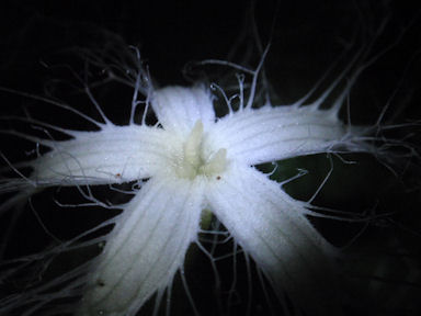 f:id:chuumeikun:20160721010917j:plain f:id:chuumeikun:20160721010917j:plain