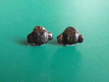 f:id:chuumeikun:20160721011230j:plain f:id:chuumeikun:20160721011230j:plain