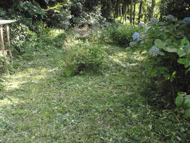 f:id:chuumeikun:20160722052543j:plain f:id:chuumeikun:20160722052543j:plain