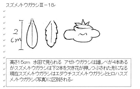 f:id:chuumeikun:20160725040649j:plain f:id:chuumeikun:20160725040649j:plain