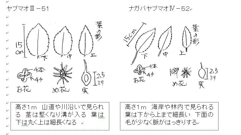 f:id:chuumeikun:20160730043746j:plain f:id:chuumeikun:20160730043746j:plain