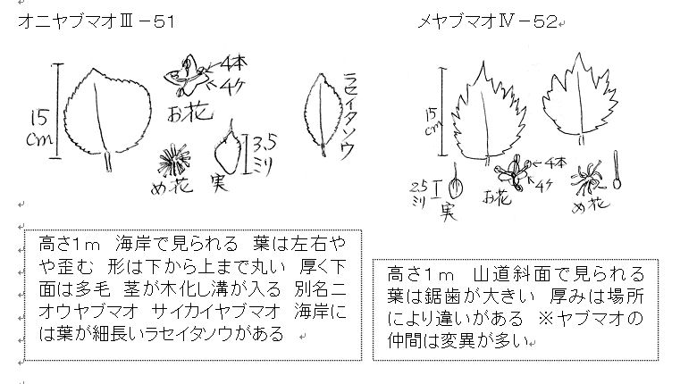 f:id:chuumeikun:20160730043804j:plain f:id:chuumeikun:20160730043804j:plain