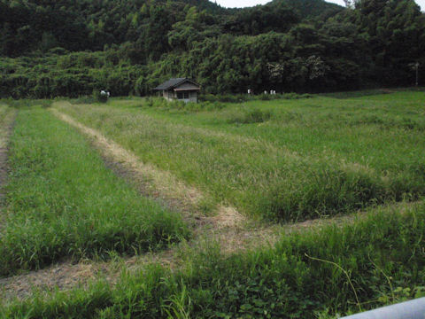 f:id:chuumeikun:20160730044722j:plain f:id:chuumeikun:20160730044722j:plain