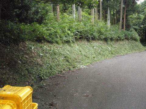 f:id:chuumeikun:20160730044740j:plain f:id:chuumeikun:20160730044740j:plain